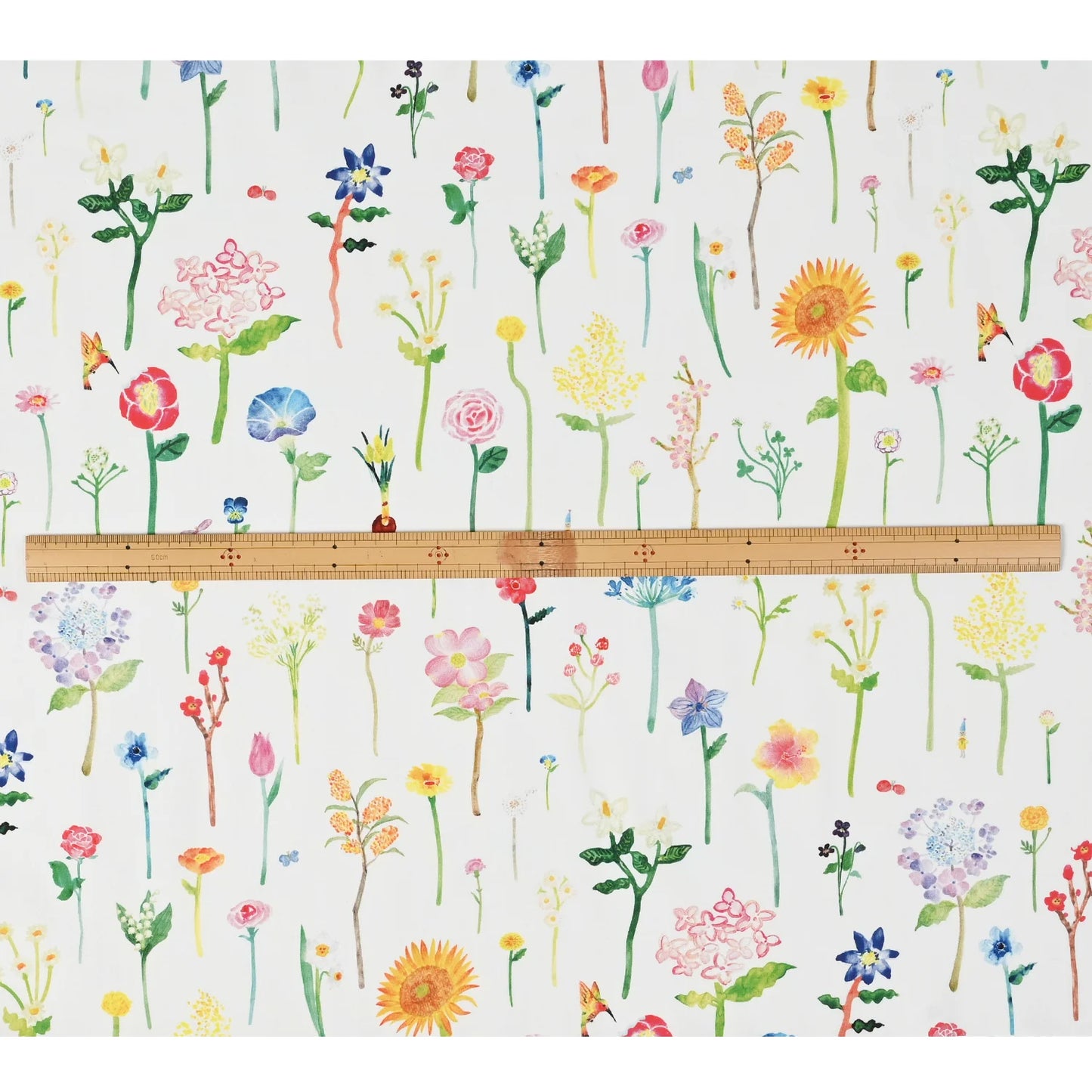 cotton - Flower Encyclopedia fabric
