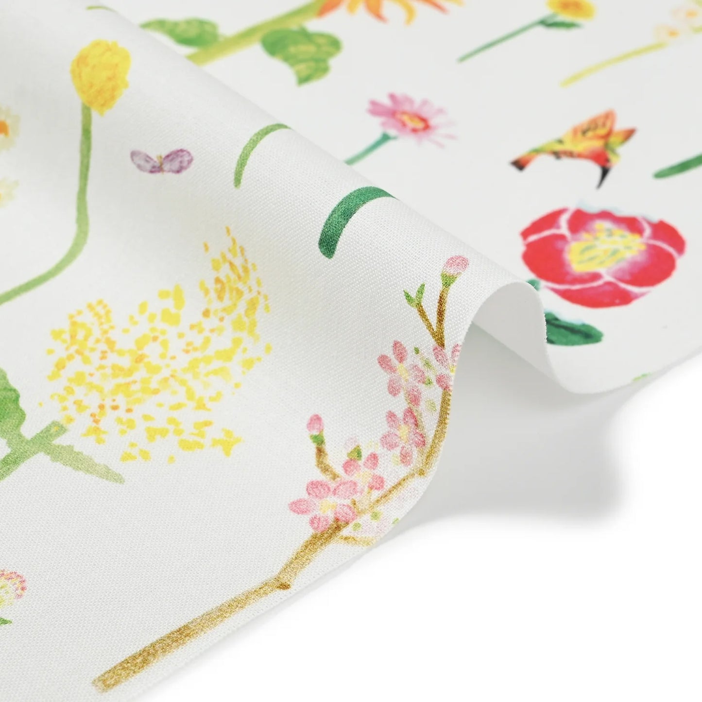 cotton - Flower Encyclopedia fabric