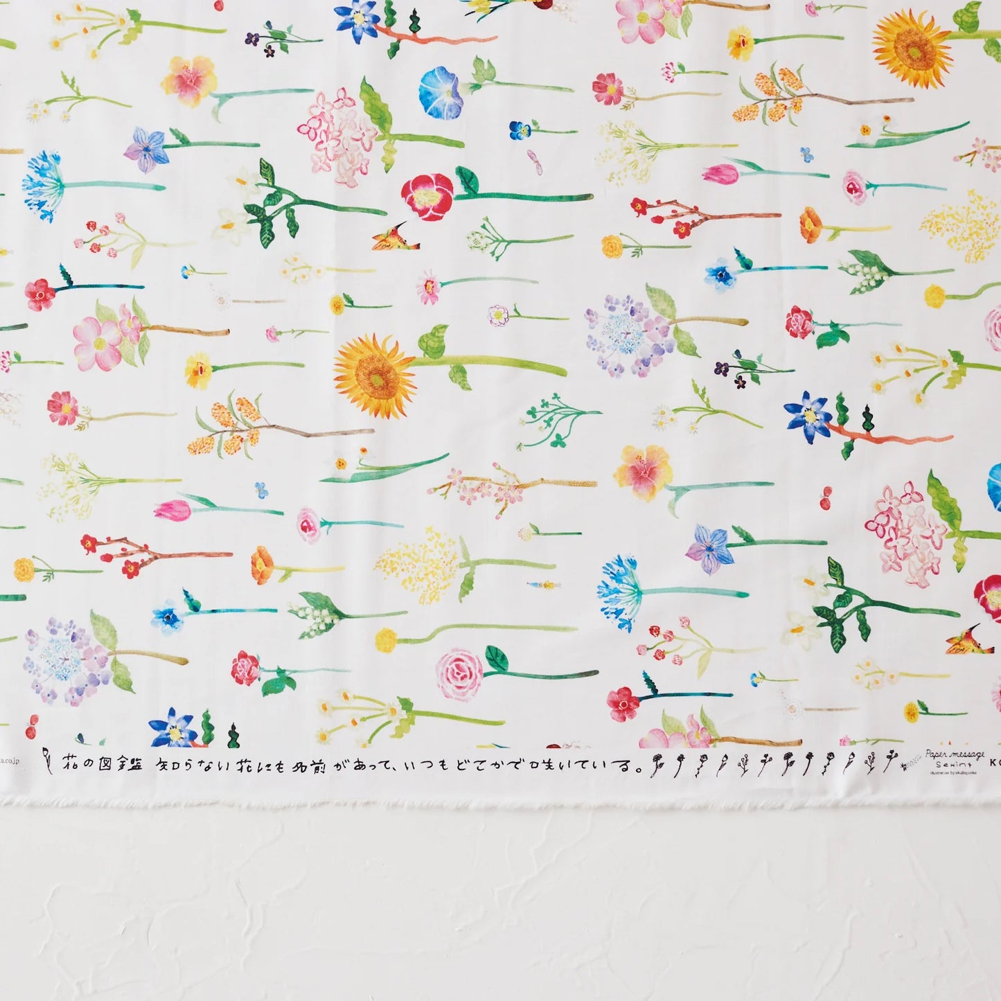 cotton - Flower Encyclopedia fabric