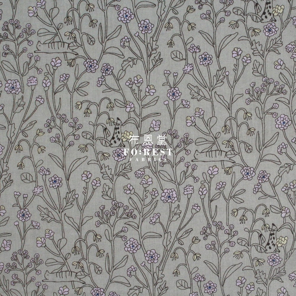 Cotton - Cats Hide And Seek