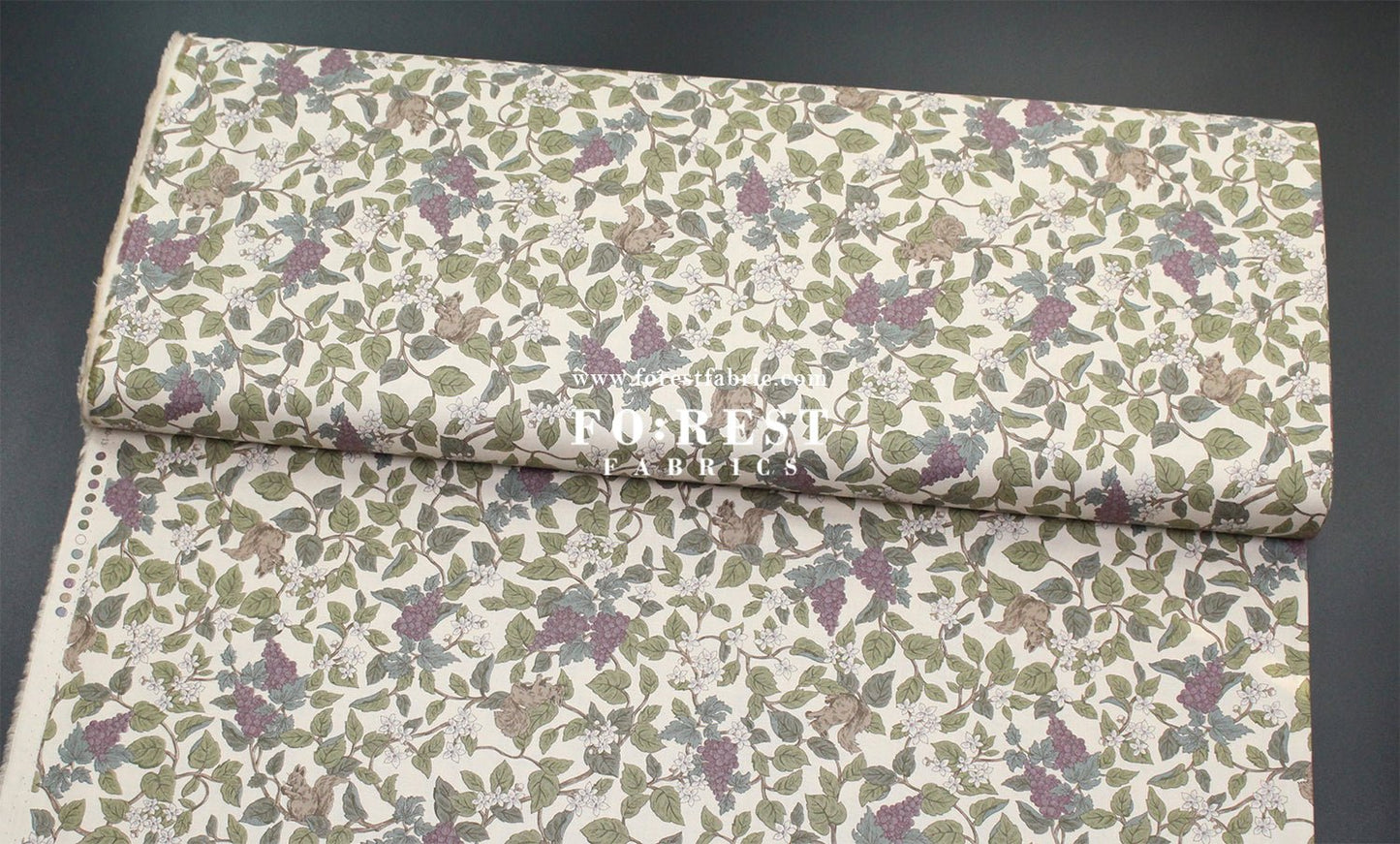 cotton - Flowers Squirrel fabric Natural - FO:REST Fabric 布恩堂Liberty fabrictana lawnjapanese fabricykk zipper