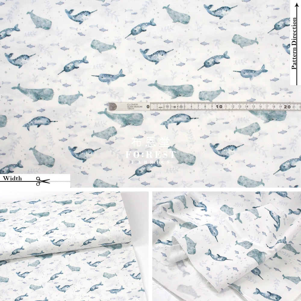 Cotton - Narwhals Float On Fabric