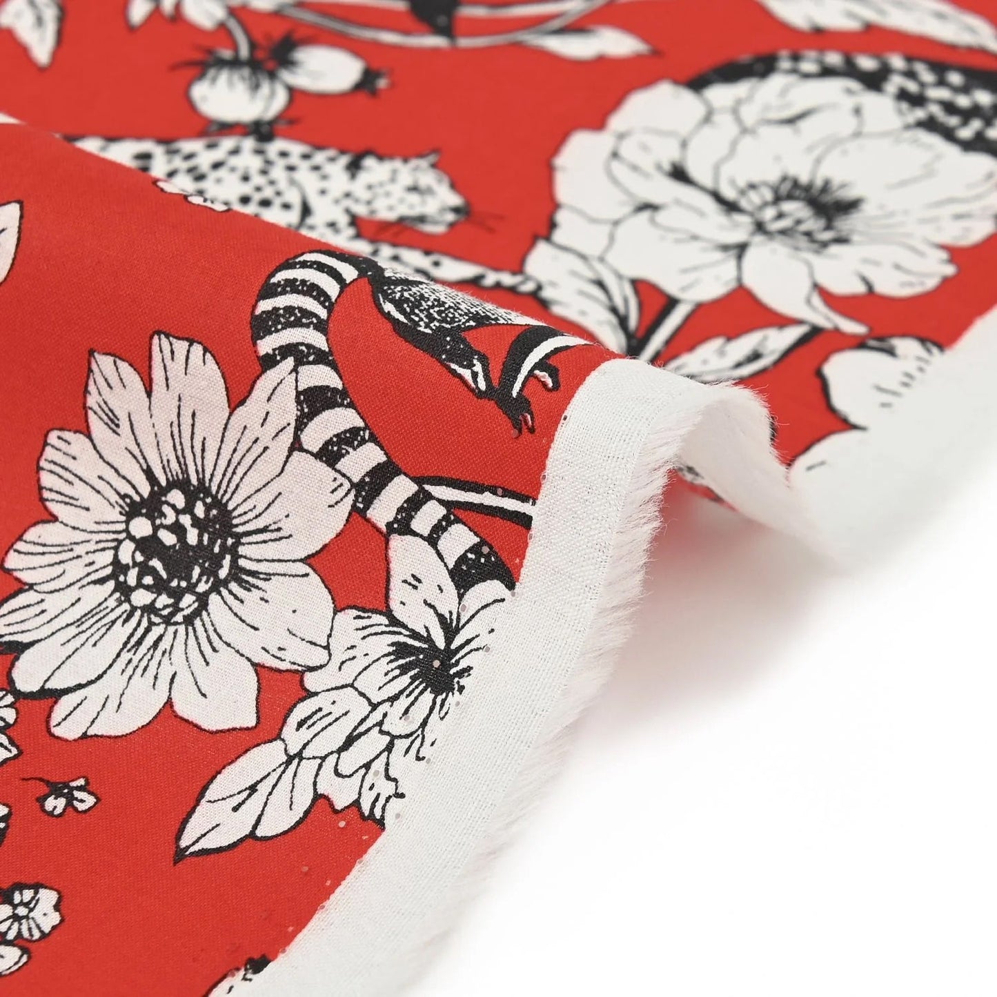 Lawn - Wonder echino B fabric - FO:REST Fabric 布恩堂Liberty fabrictana lawnjapanese fabricykk zipper