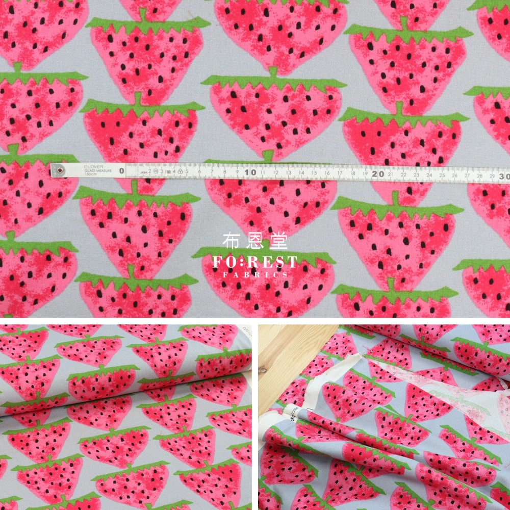 Canvas - Strawberry Fabric Gray Cotton Linen Canvas