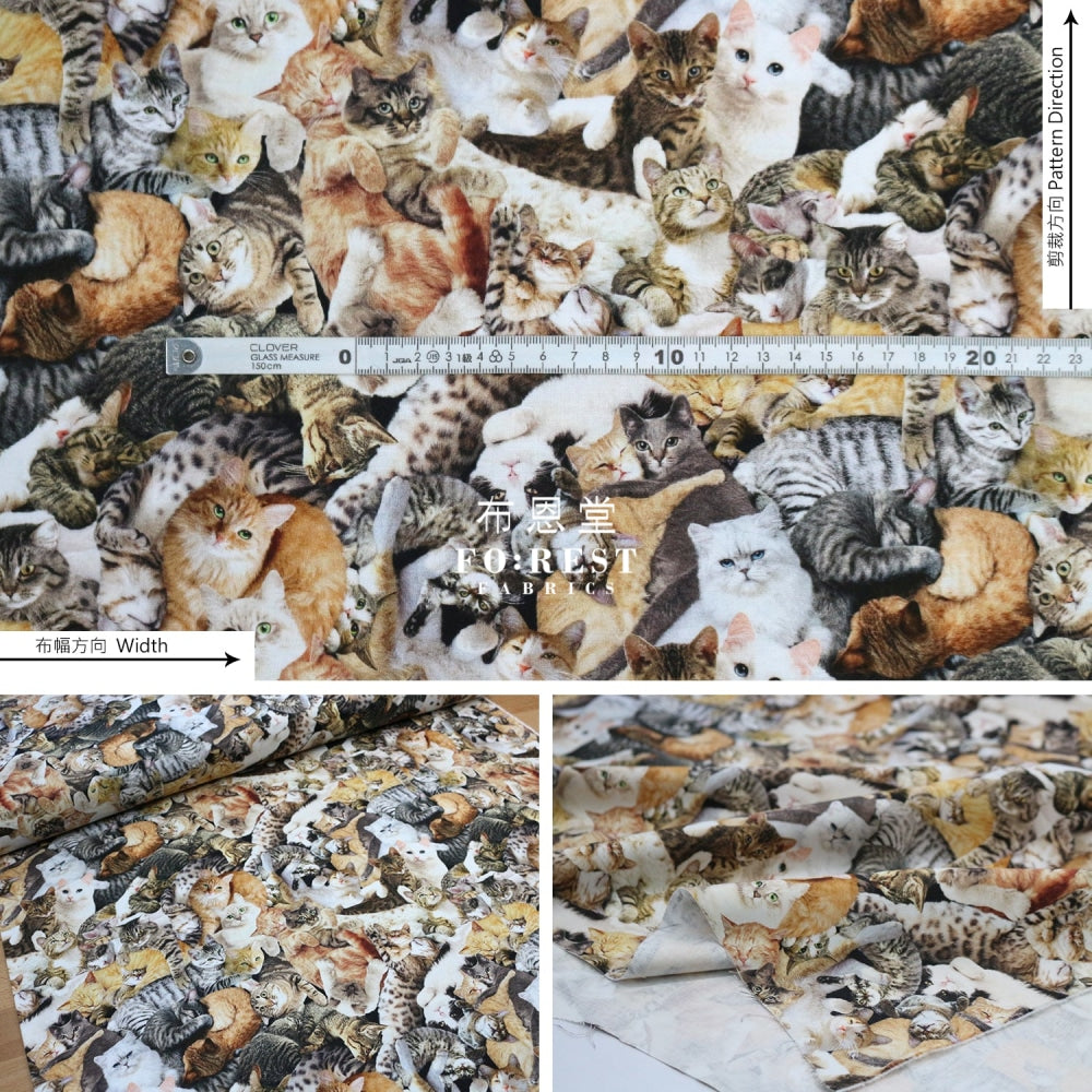 Cotton - Cuddling Cats Fabric