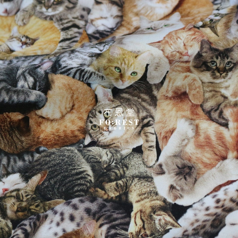 Cotton - Cuddling Cats Fabric