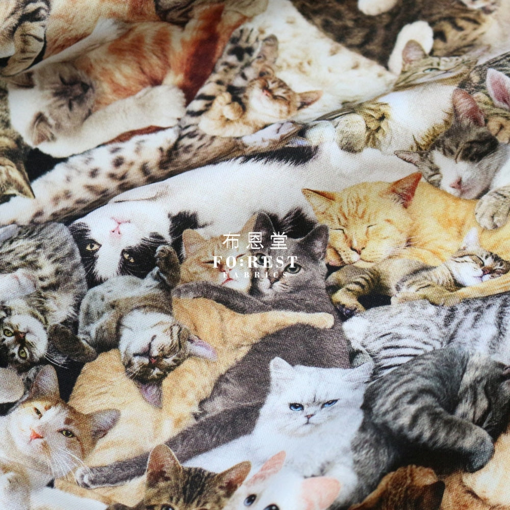 Cotton - Cuddling Cats Fabric