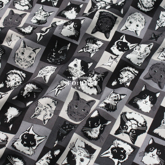 cotton - POP ART Cats fabric Black