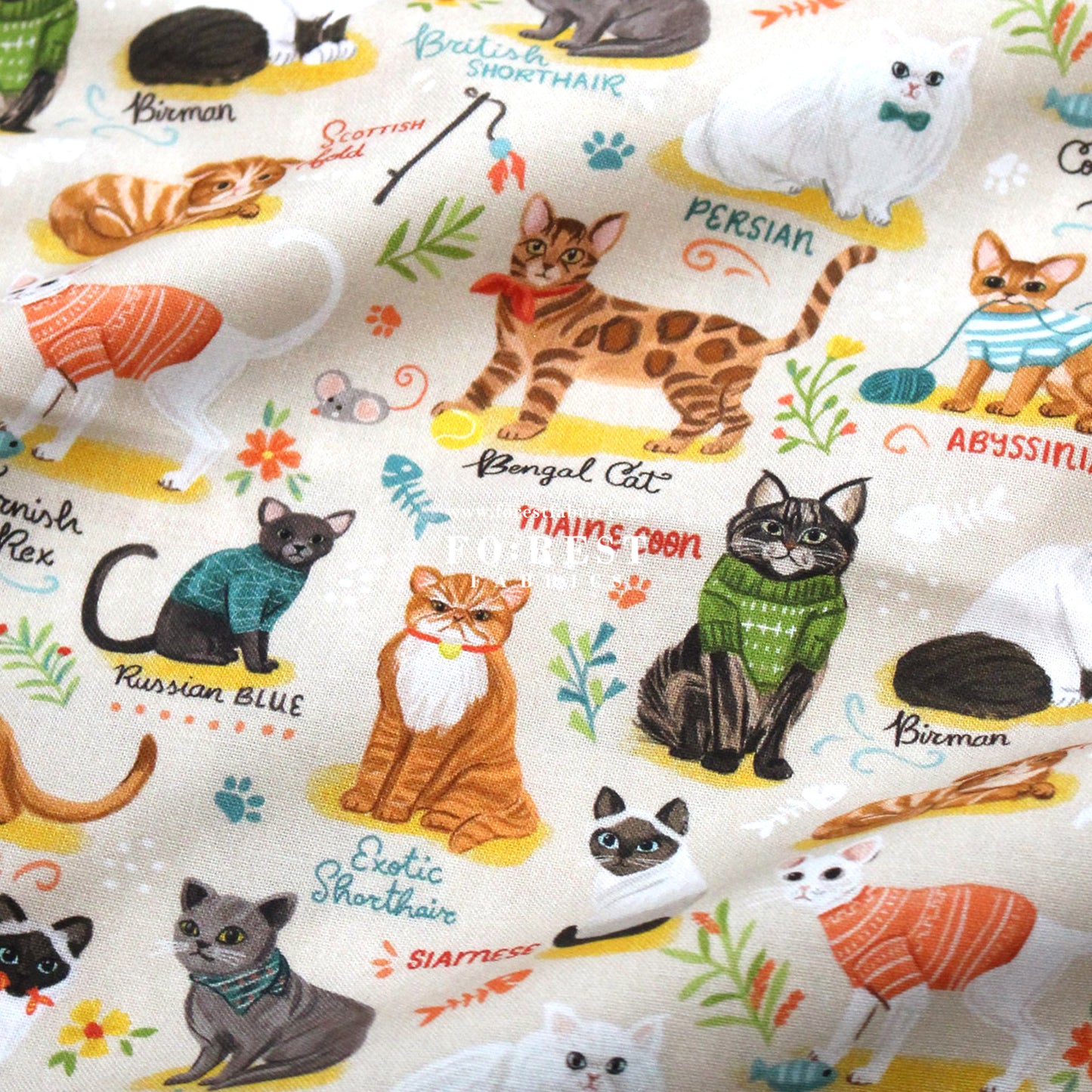 cotton - The illustrated cat fabric