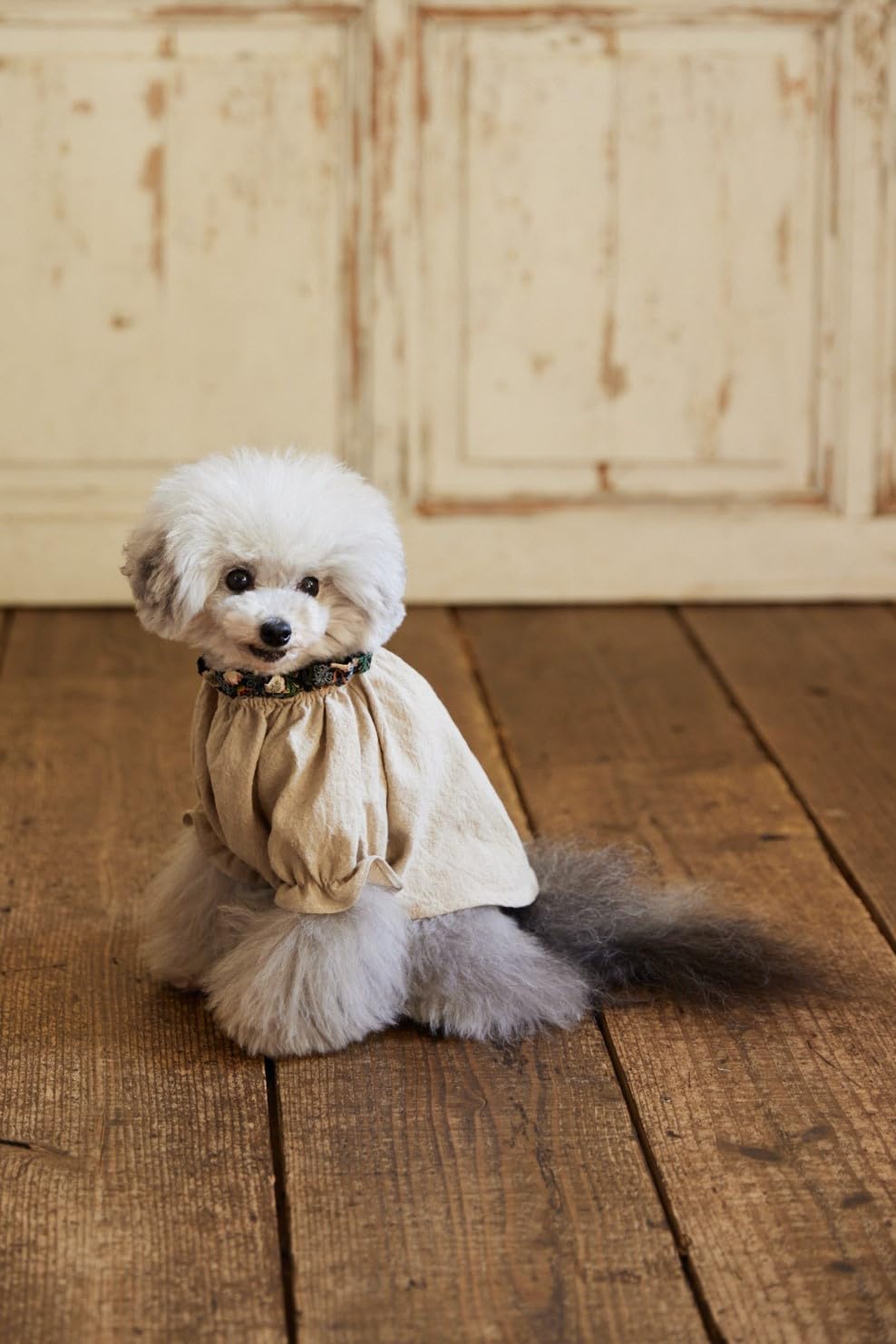 Craft Books Cute dog clothes for small dogs