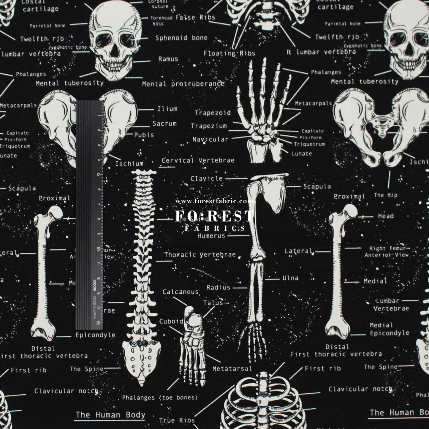 cotton - Bone fabric