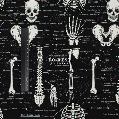 cotton - Bone fabric