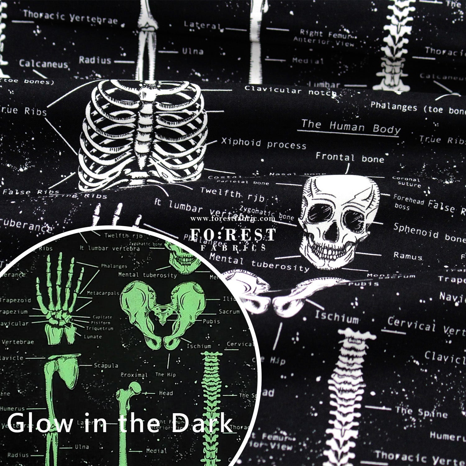 cotton - Bone fabric - FO:REST Fabric 布恩堂Liberty fabrictana lawnjapanese fabricykk zipper