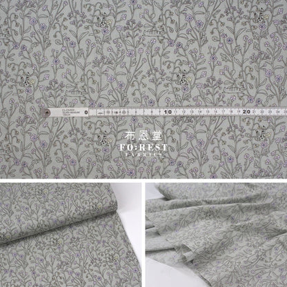 Cotton - Cats Hide And Seek