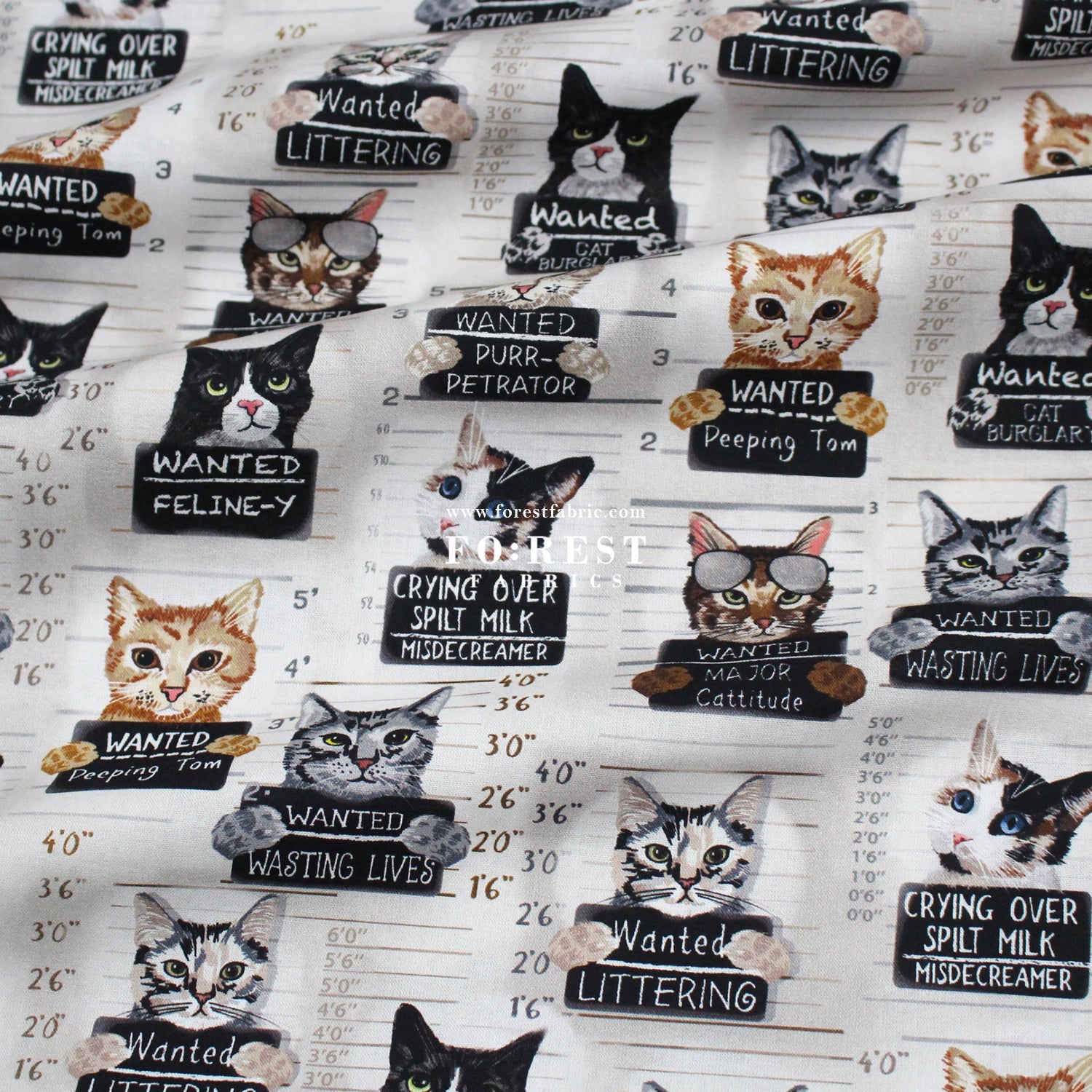 cotton - Cats Mugshots fabric - FO:REST Fabric 布恩堂Liberty fabrictana lawnjapanese fabricykk zipper