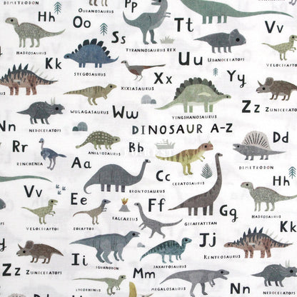 cotton - D For Dinosaurs fabric - FO:REST Fabric 布恩堂Liberty fabrictana lawnjapanese fabricykk zipper
