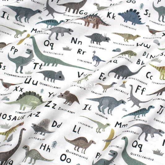 cotton - D For Dinosaurs fabric - FO:REST Fabric 布恩堂Liberty fabrictana lawnjapanese fabricykk zipper