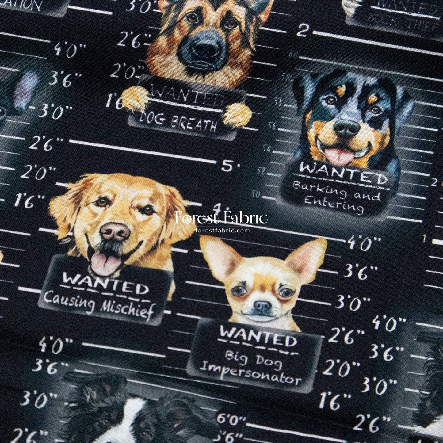 cotton - Dogs Mugshots Cats Newspaper fabric - FO:REST Fabric 布恩堂Liberty fabrictana lawnjapanese fabricykk zipper