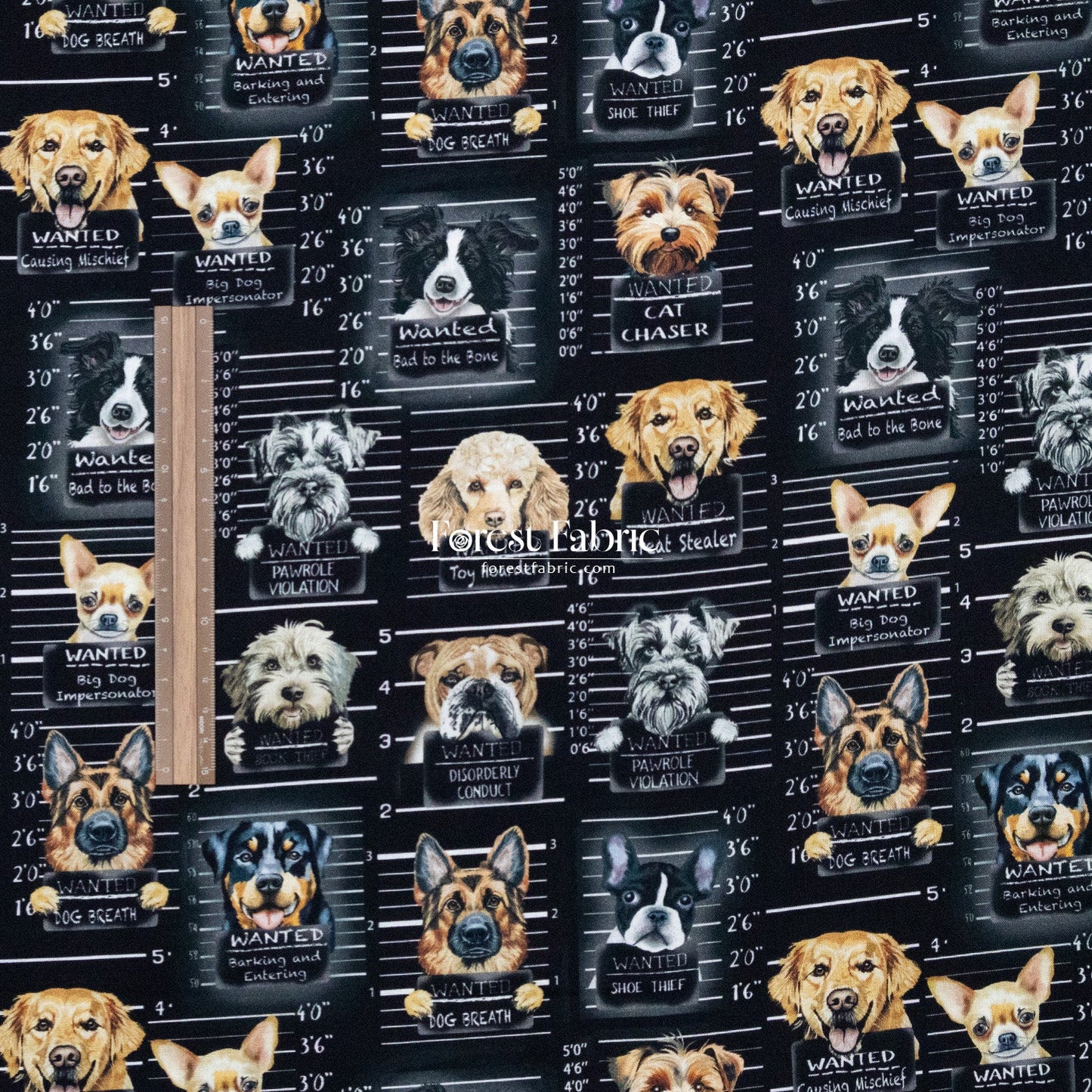 cotton - Dogs Mugshots Cats Newspaper fabric - FO:REST Fabric 布恩堂Liberty fabrictana lawnjapanese fabricykk zipper