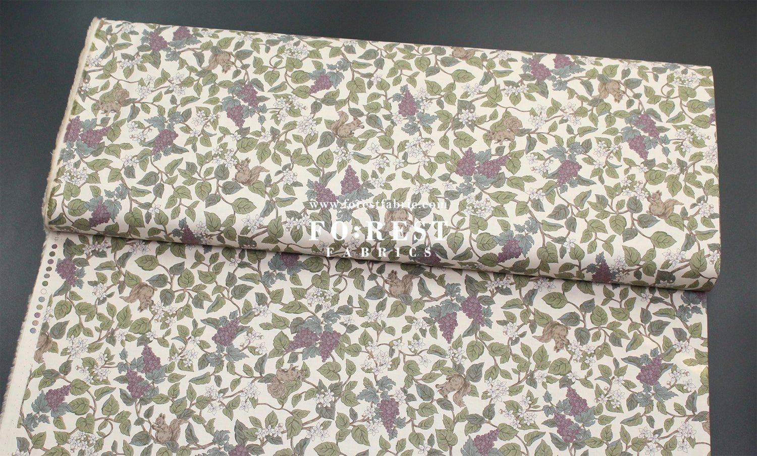 cotton - Flowers Squirrel fabric Natural - FO:REST Fabric 布恩堂Liberty fabrictana lawnjapanese fabricykk zipper
