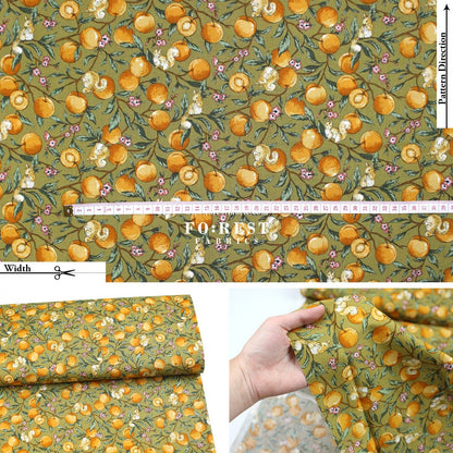 cotton - Squirrel and Apricot fabric - FO:REST Fabric 布恩堂Liberty fabrictana lawnjapanese fabricykk zipper