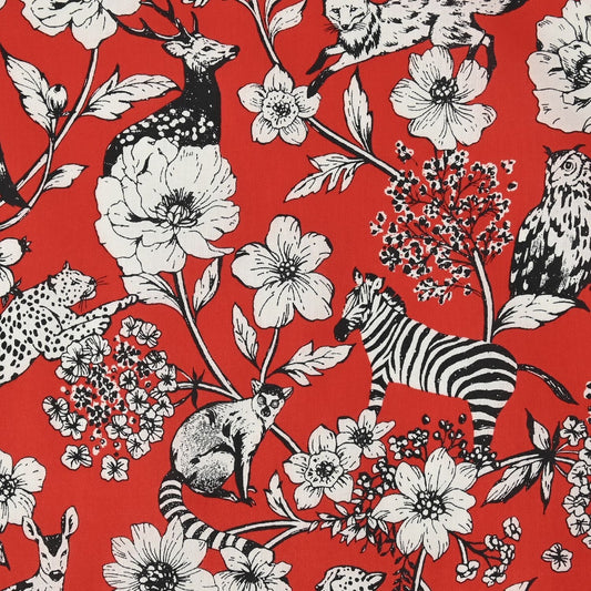 Lawn - Wonder echino B fabric - FO:REST Fabric 布恩堂Liberty fabrictana lawnjapanese fabricykk zipper