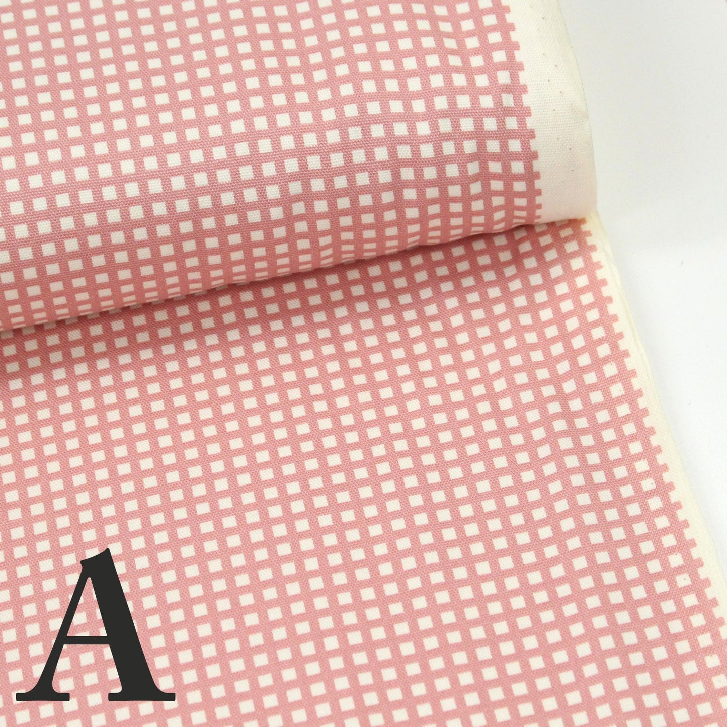 Oxford - Grid fabric - FO:REST Fabric 布恩堂Liberty fabrictana lawnjapanese fabricykk zipper