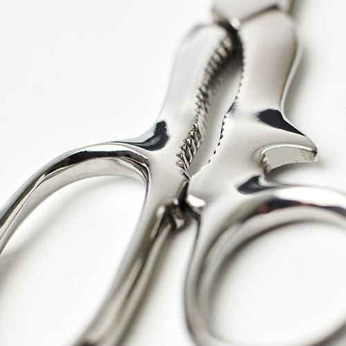 WILKINSON CLASSIC KITCHEN SCISSORS 廚剪刀 - FO:REST Fabric 布恩堂Liberty fabrictana lawnjapanese fabricykk zipper