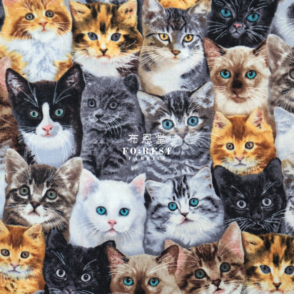 Cotton - A Lot Of Cats Fabric