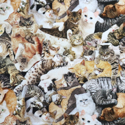 Cotton - Cuddling Cats Fabric