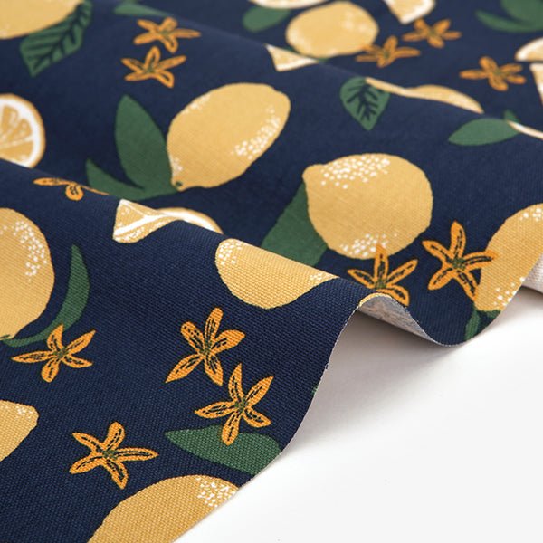 Dailylike oxford - Lemon Fabric - FO:REST Fabric 布恩堂Liberty fabrictana lawnjapanese fabricykk zipper
