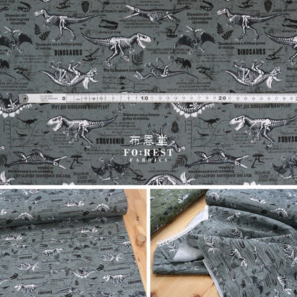 Oxford - Dinosaur Fabric Gray Oxford